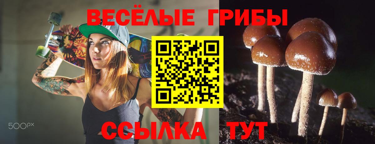 Шадринск  Галлюциногенные грибы мухоморы  Галлюциногенные грибы GOLDEN TEACHER  Вход с VPN 